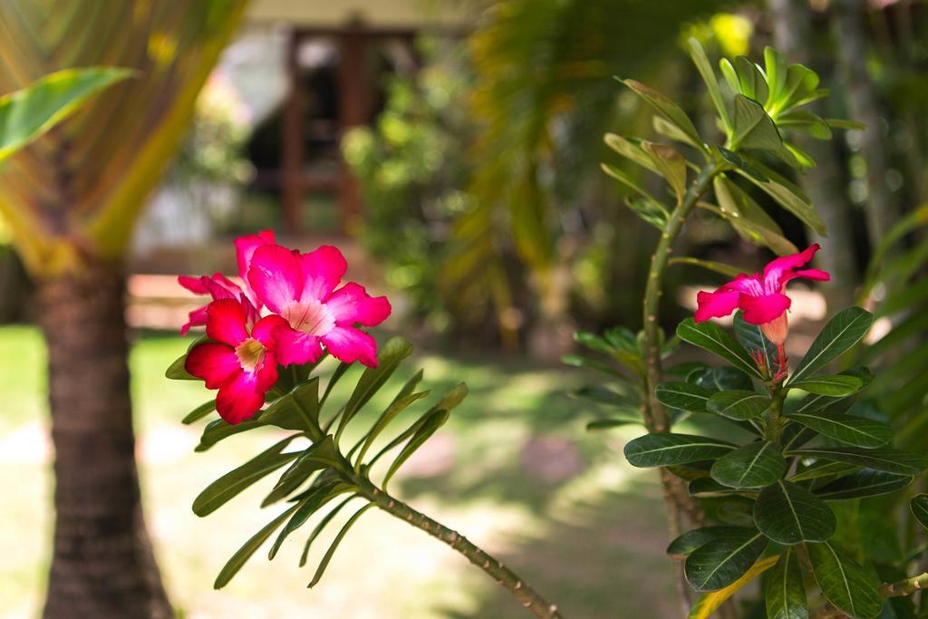 Easy Time Resort Laem Sai Beach Exteriör bild